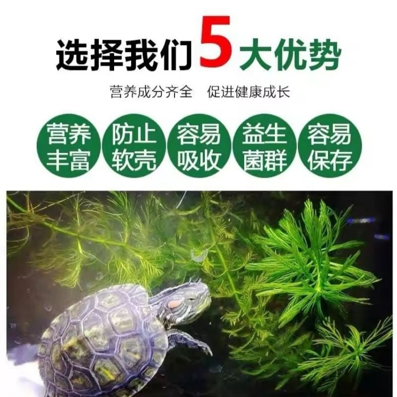 DL Floating Turtle Food Pellets – product details view 3