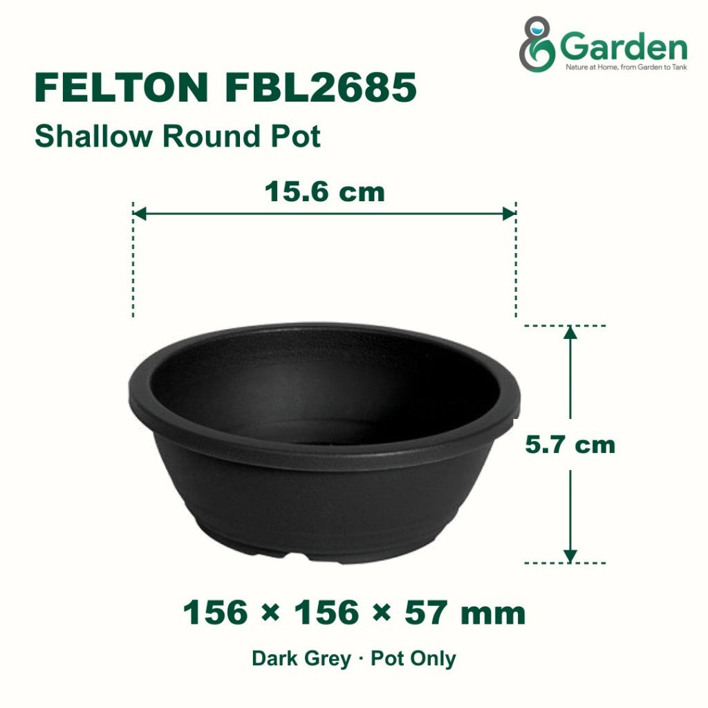 Felton FBL2685 Round Plastic Flower Pot 15.6cm – product and size guide