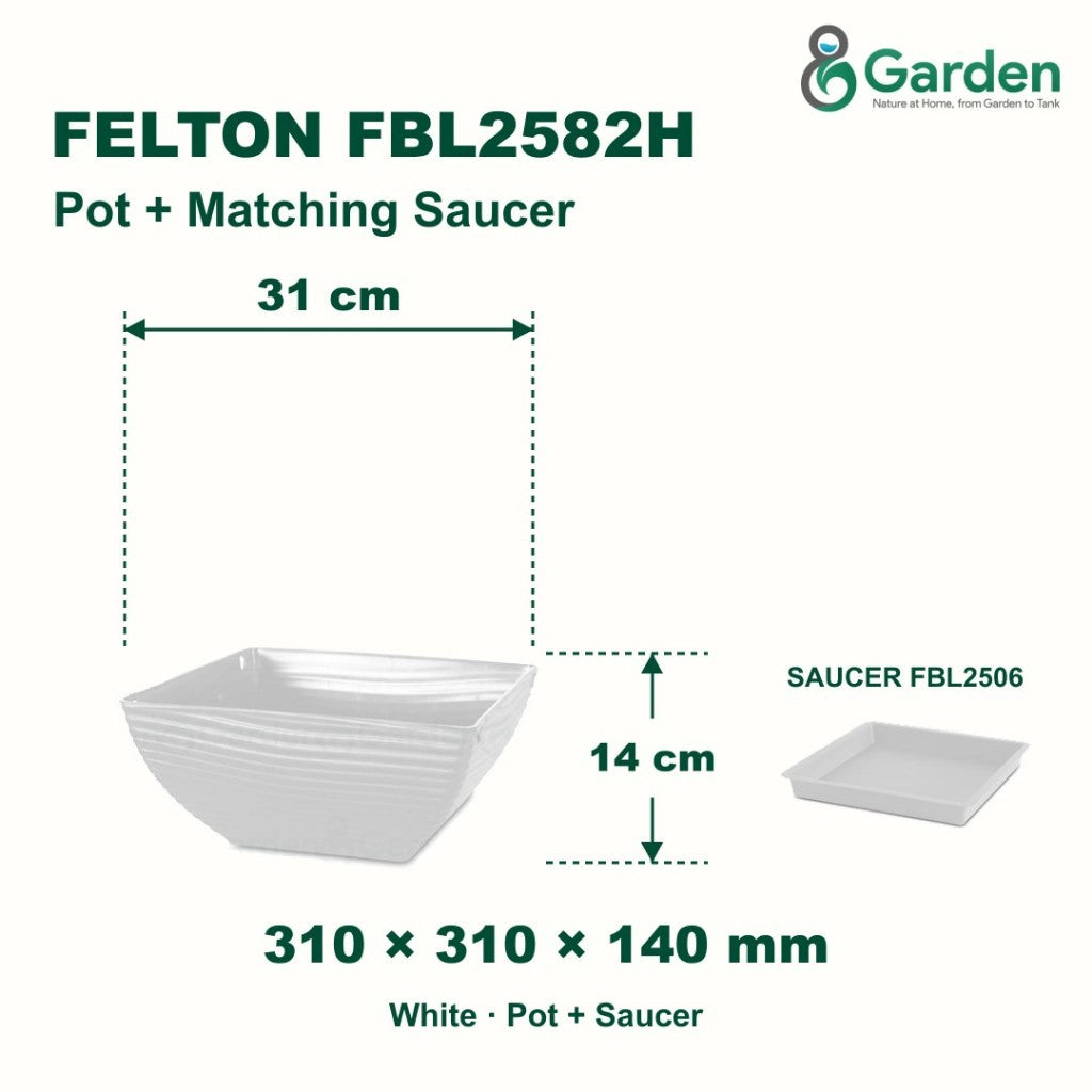 Felton FBL2582H Square Plastic Flower Pot 31cm – product and size guide
