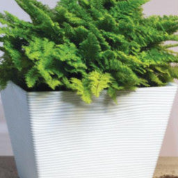 Felton Square Plastic Flower Pots 2491/2492/2493/2494/2495 – product and size guide