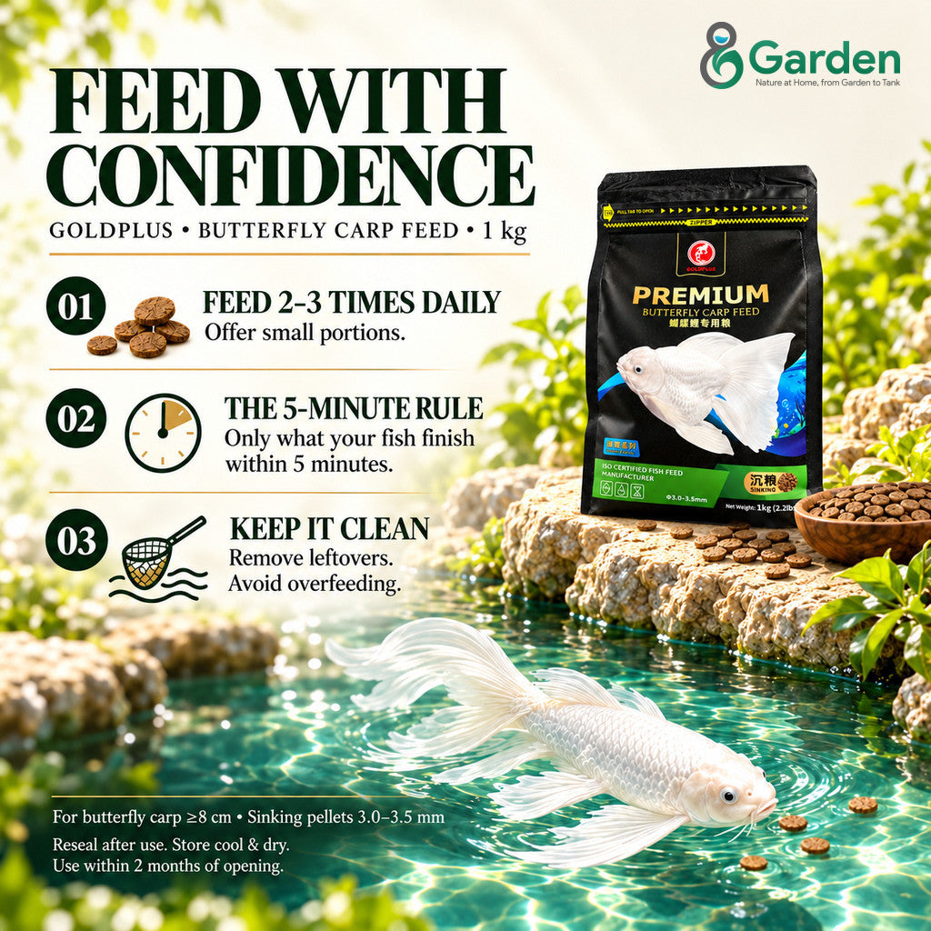 GOLDPLUS Butterfly Koi Fish Food 1kg | Premium Sinking Pellets 3-3.5mm 40% Protein Makanan Ikan Carp