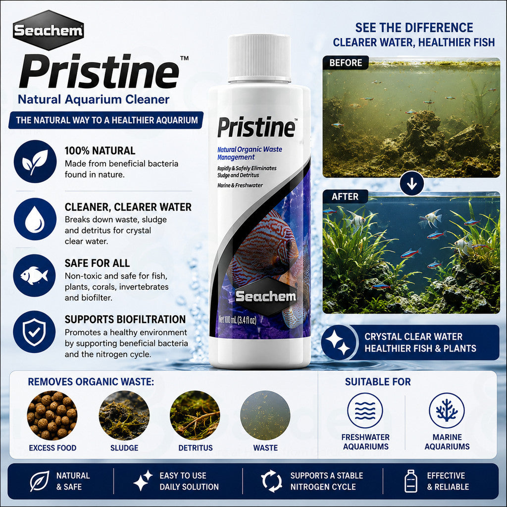 Seachem Pristine Aquarium Waste-Reducing Bacteria – 100 mL – product information