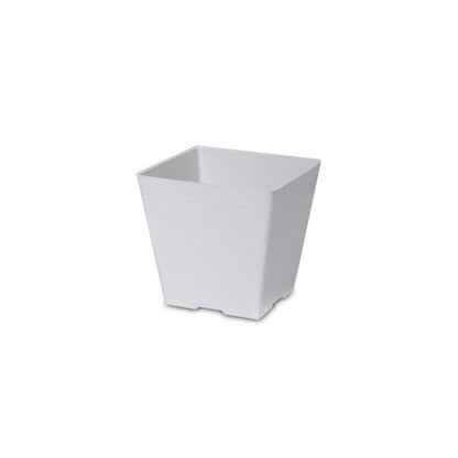 Felton FBL2636 square flower pot in White, 8 × 8 × 7 cm