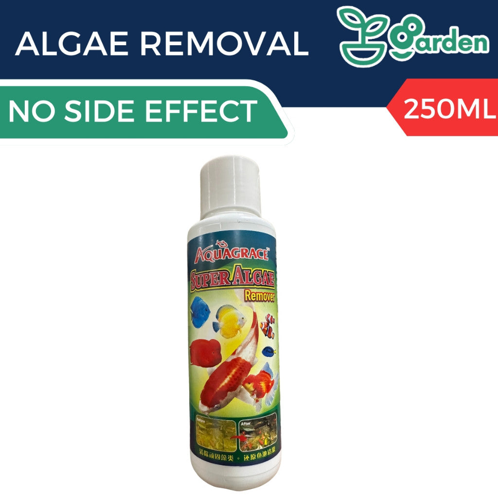 AquaGrace Super Algae Remover Concentrate – product and packaging