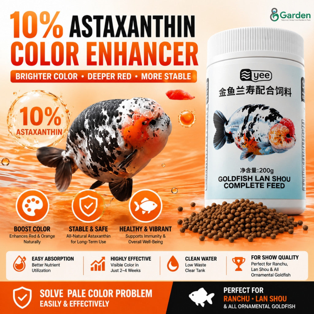 YEE Ranchu & Lan Shou Goldfish Food – 100 g Floating Pellets – product details view 3