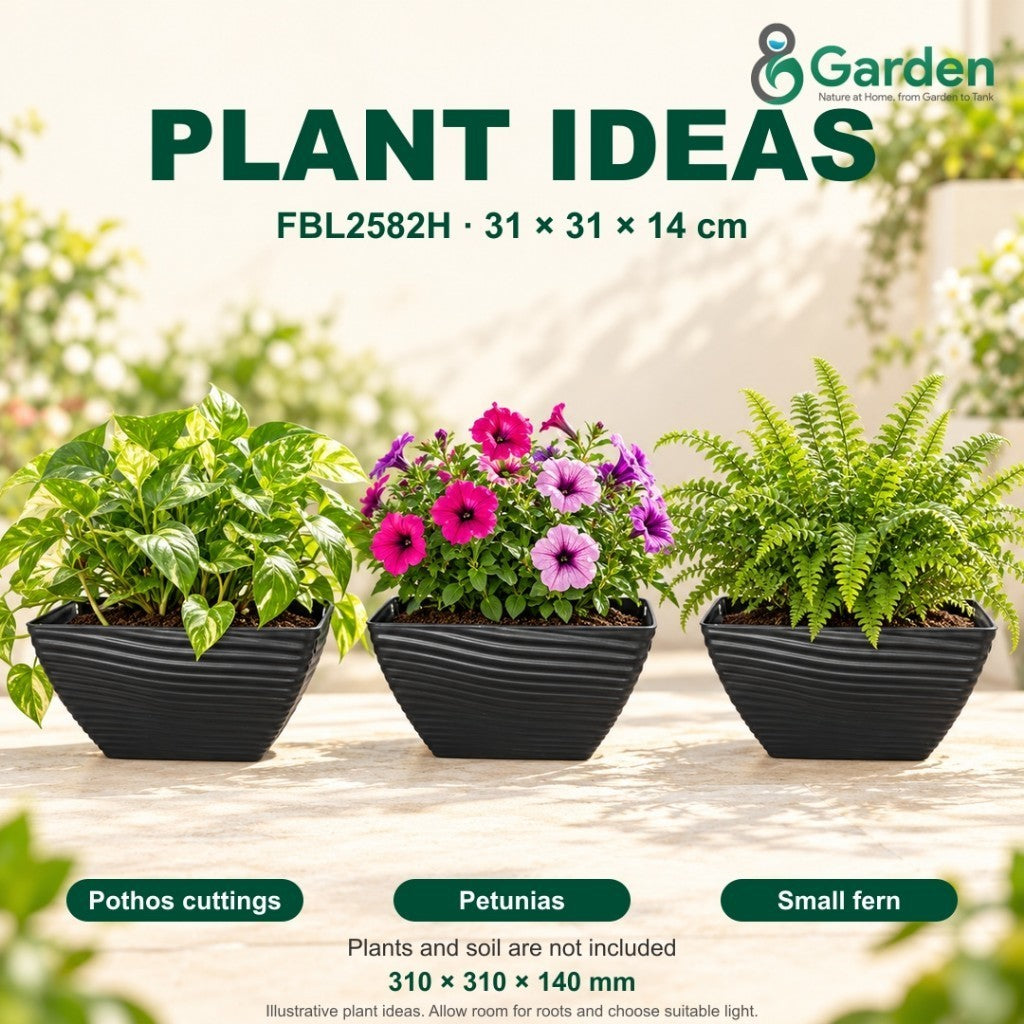 Felton FBL2582H Square Plastic Flower Pot 31cm – product and size guide