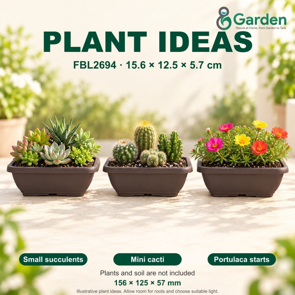 Felton FBL2694 Rectangular Plastic Flower Pot 15.6cm – product and size guide