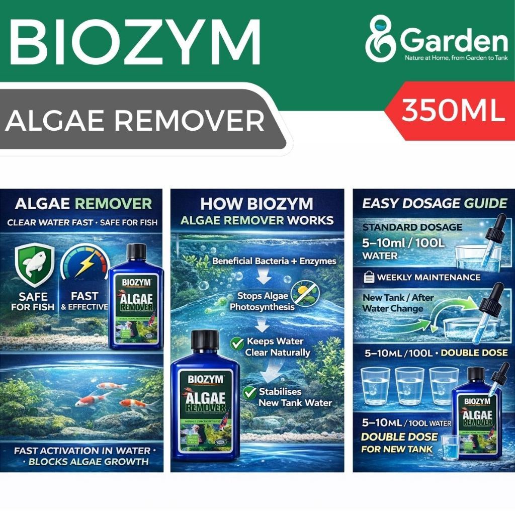 BIOZYM Algae Remover – product information graphic 3