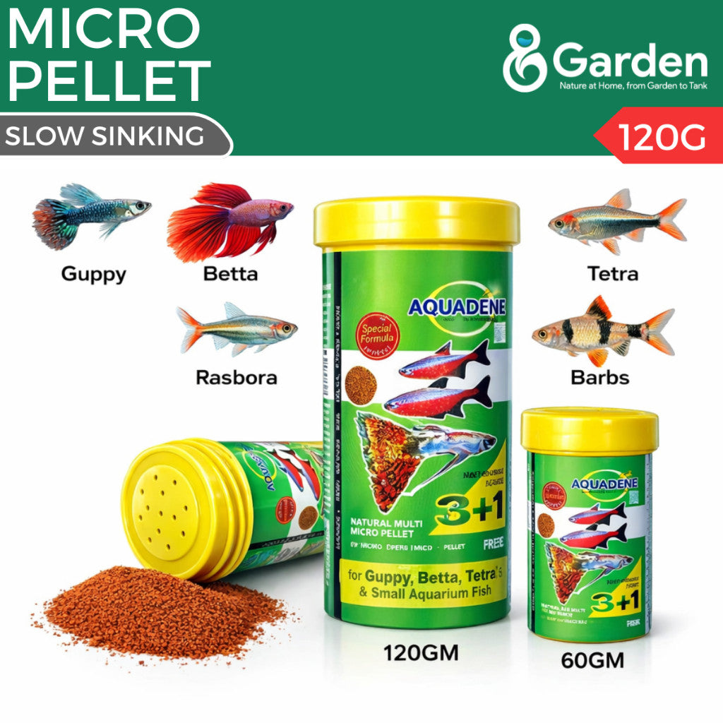 Aquadene 3+1 Micro Pellet Fish Food – product and packaging