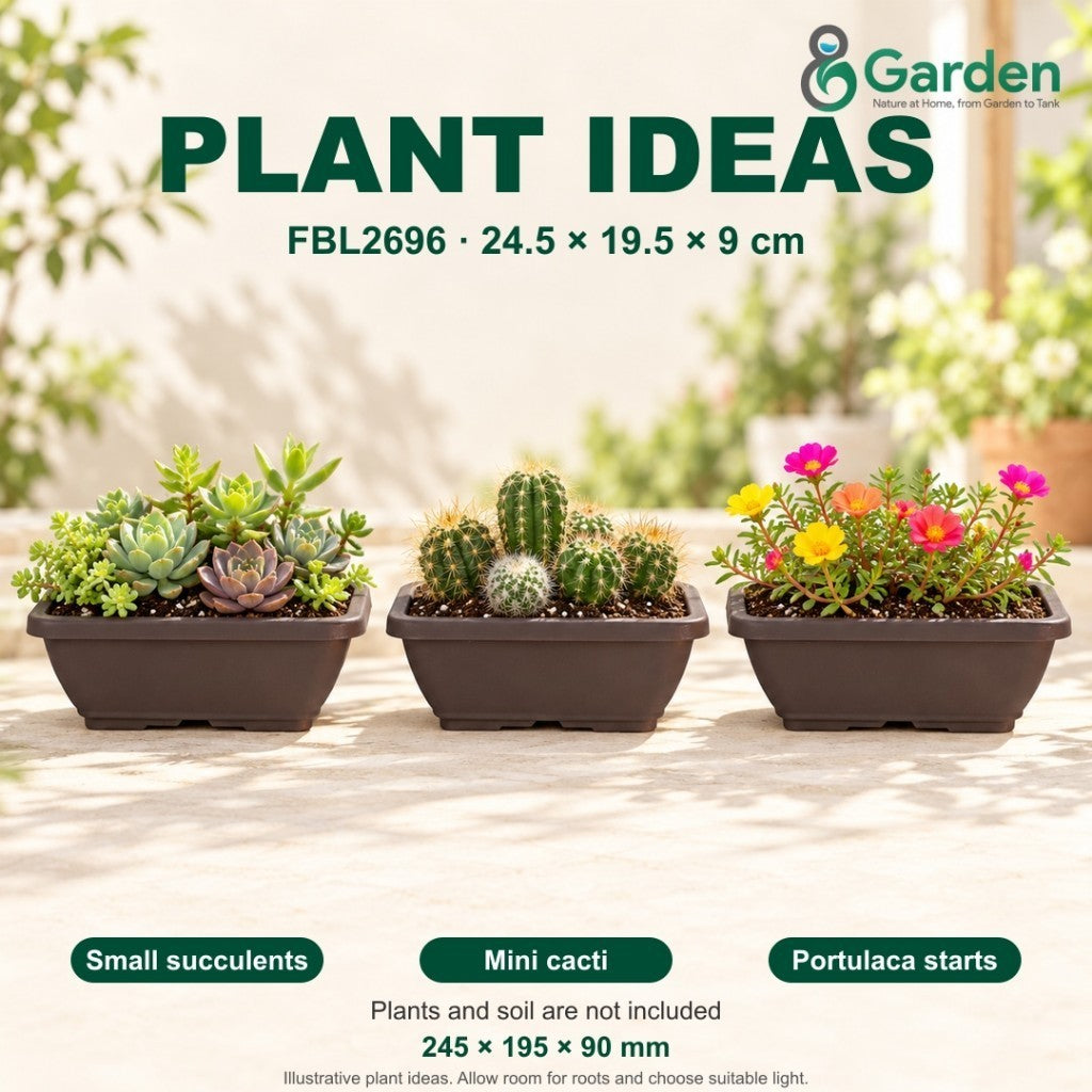 Felton FBL2696 Rectangular Plastic Flower Pot 24.5cm – product and size guide