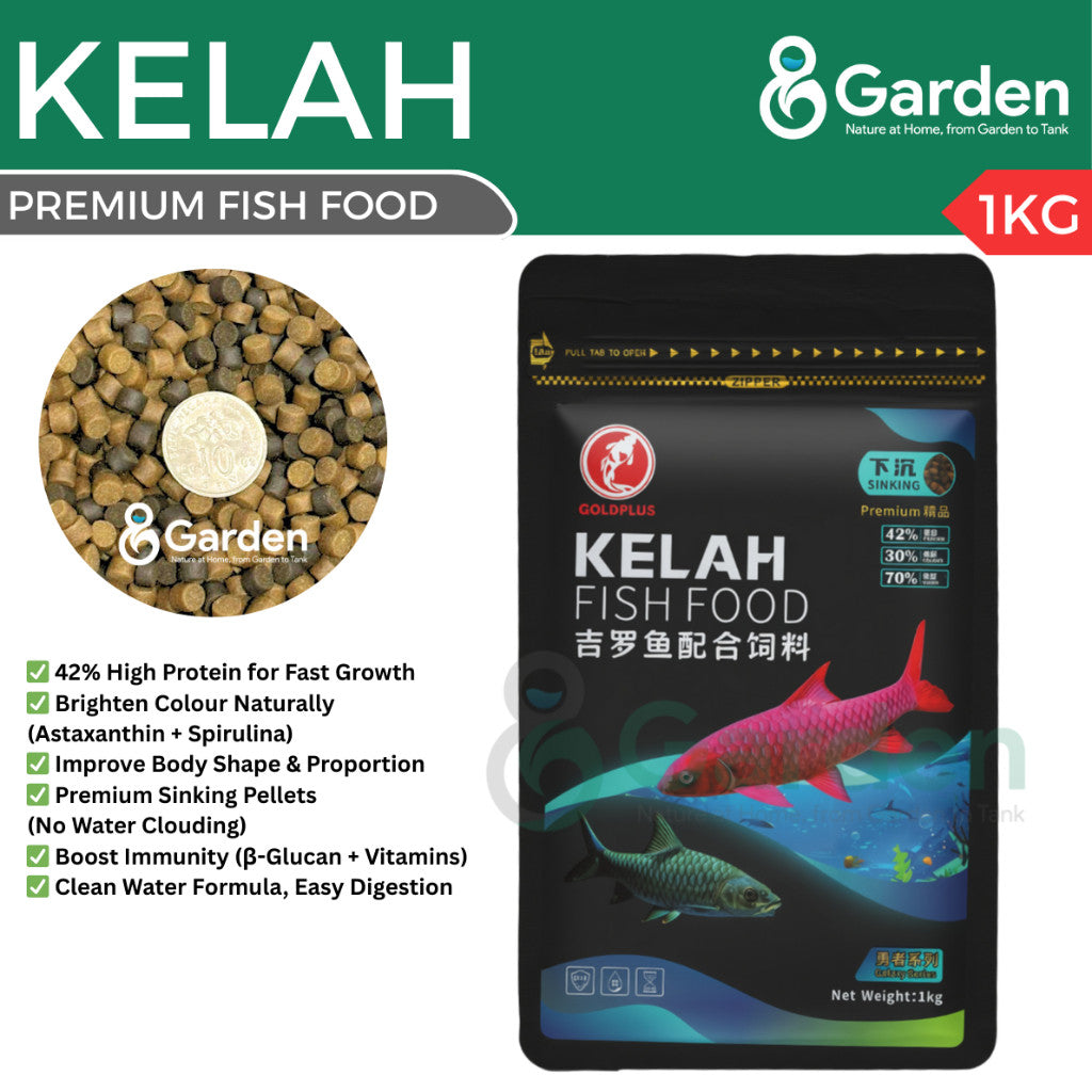GoldPlus Galaxy Kelah Fish Food – product and packaging
