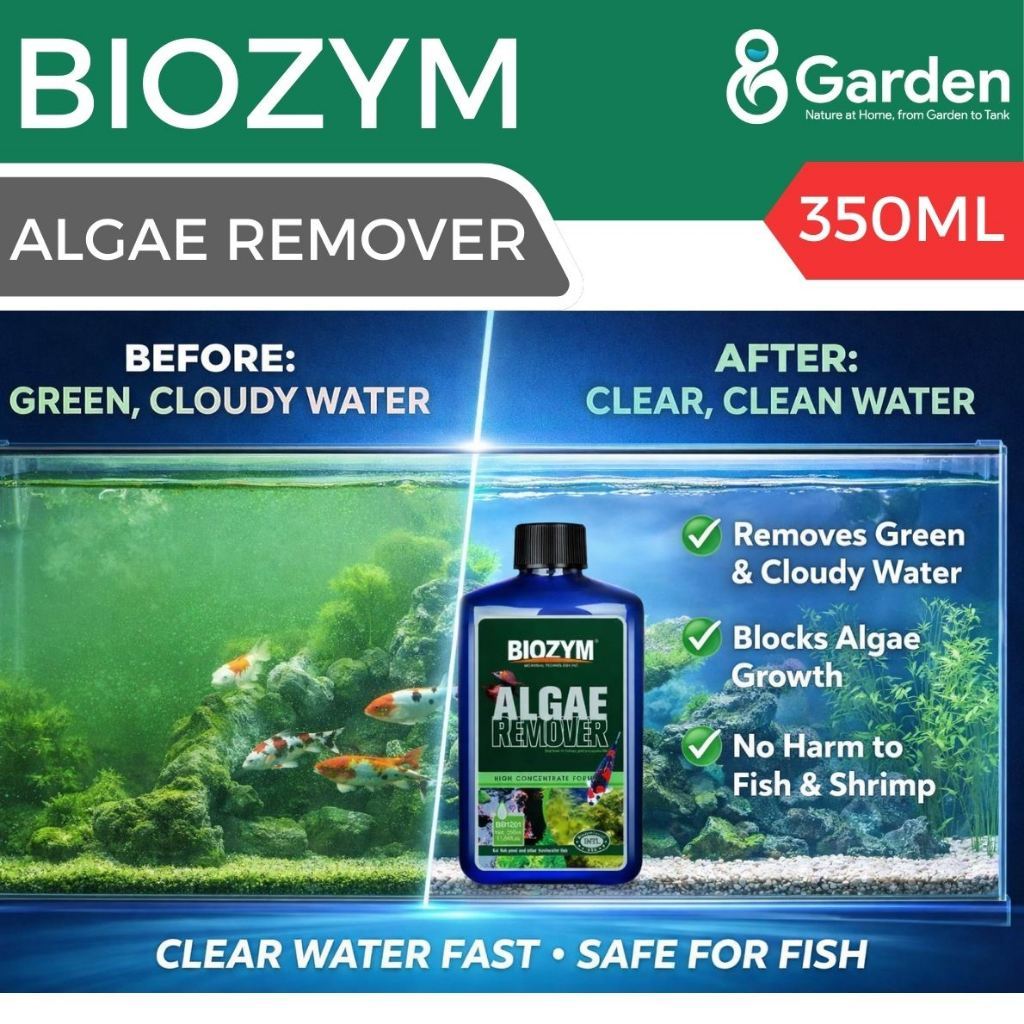 BIOZYM Algae Remover – product information graphic 2