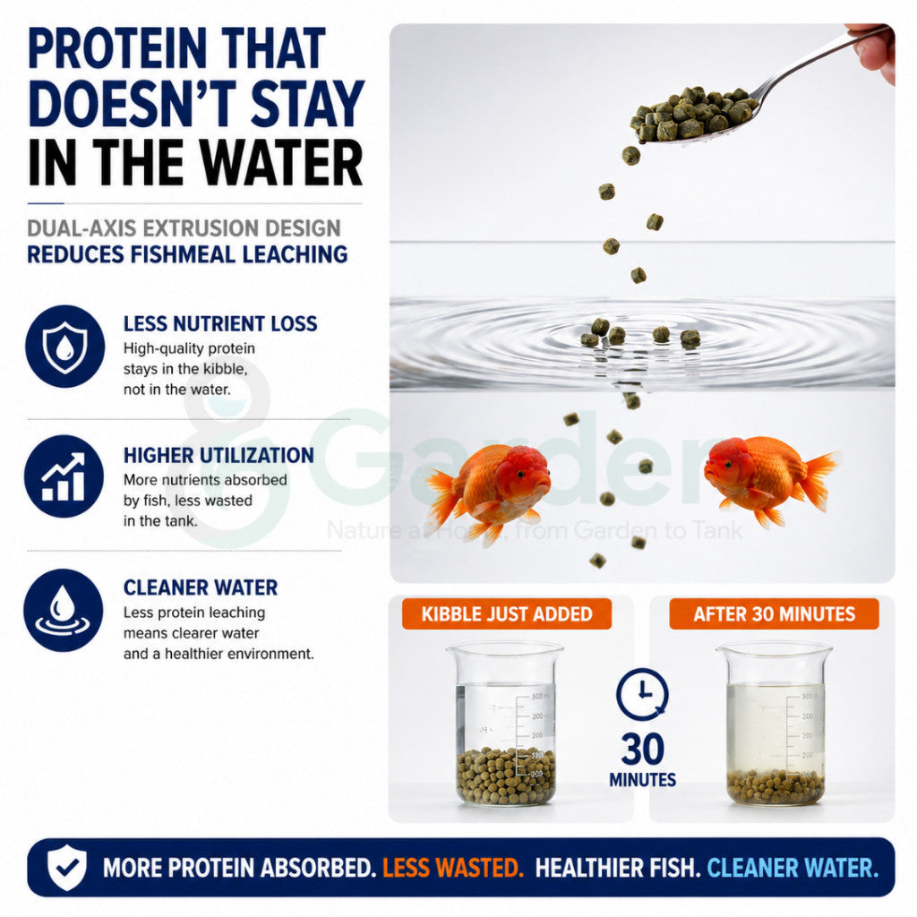 YEE Ranchu Goldfish Food – Floating 300 g / Sinking 500 g – product details view 6