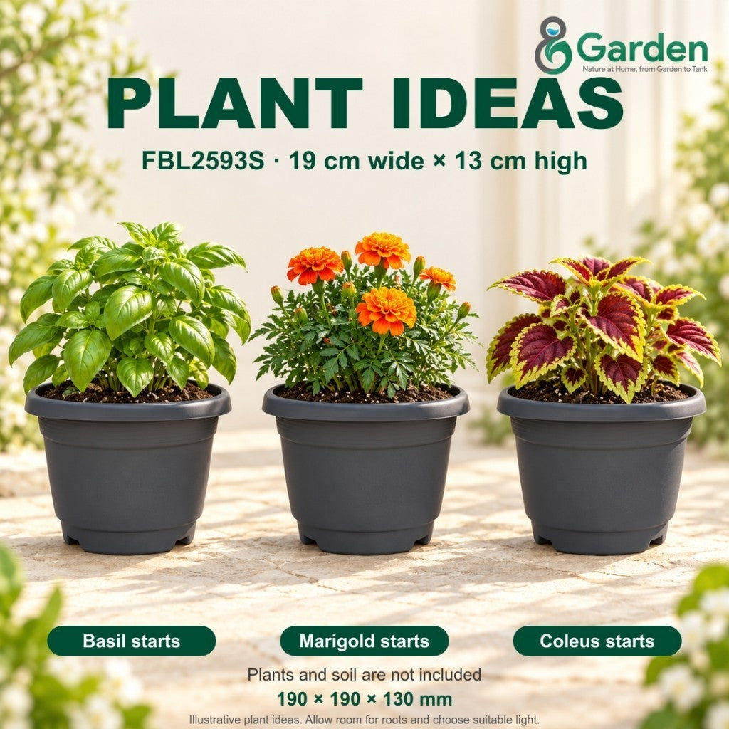 Felton FBL2593S Round Plastic Flower Pot 19cm – Pack of 50 – product and size guide