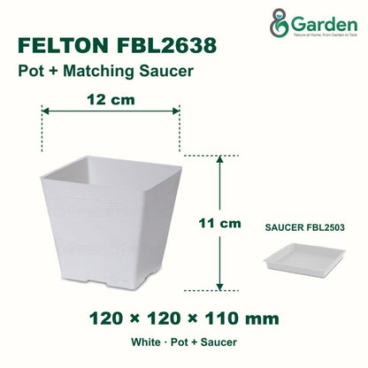 Felton FBL2638 Square Plastic Flower Pot 12cm – product and size guide