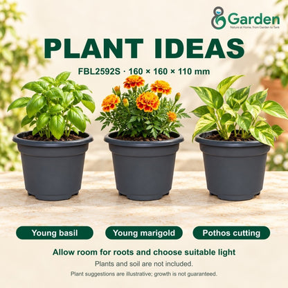 Felton FBL2592S Round Plastic Flower Pot 16cm – Pack of 50 – product guide