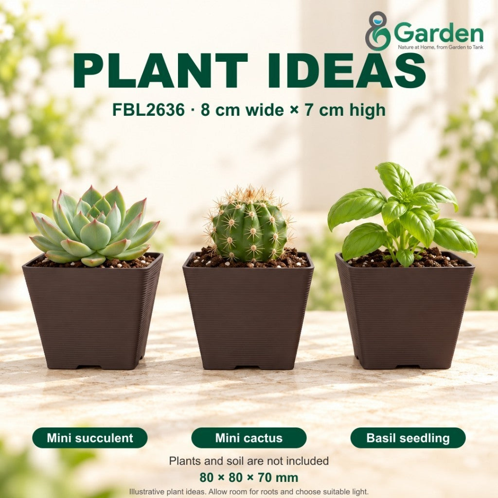 Felton FBL2636 Square Plastic Flower Pot 8cm – product and size guide