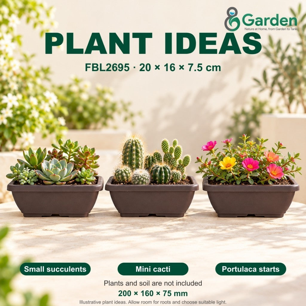 Felton FBL2695 Rectangular Plastic Flower Pot 20cm – product and size guide