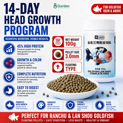 YEE Ranchu & Lan Shou Goldfish Food – 100 g Floating Pellets – product details view 6