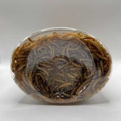 Dried Mealworms – mealworm detail