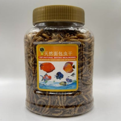Dried Mealworms – container front