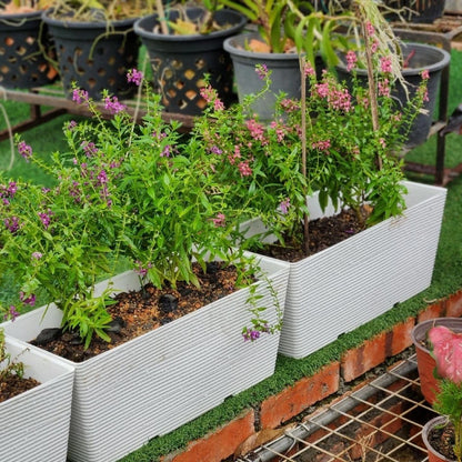 Felton FBL2480 Planter Box 46cm – product and size guide