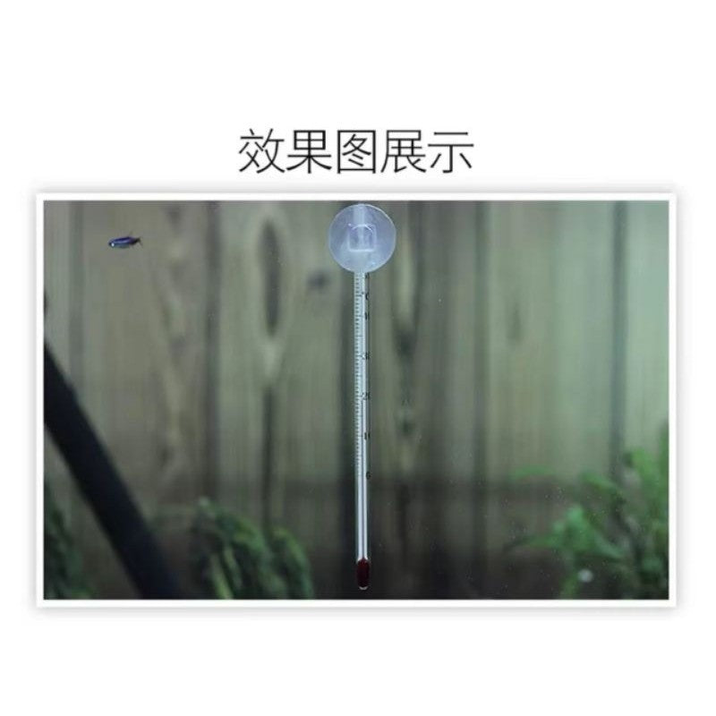 Aquarium Glass Thermometer with Suction Cup – thermometer installed in aquarium