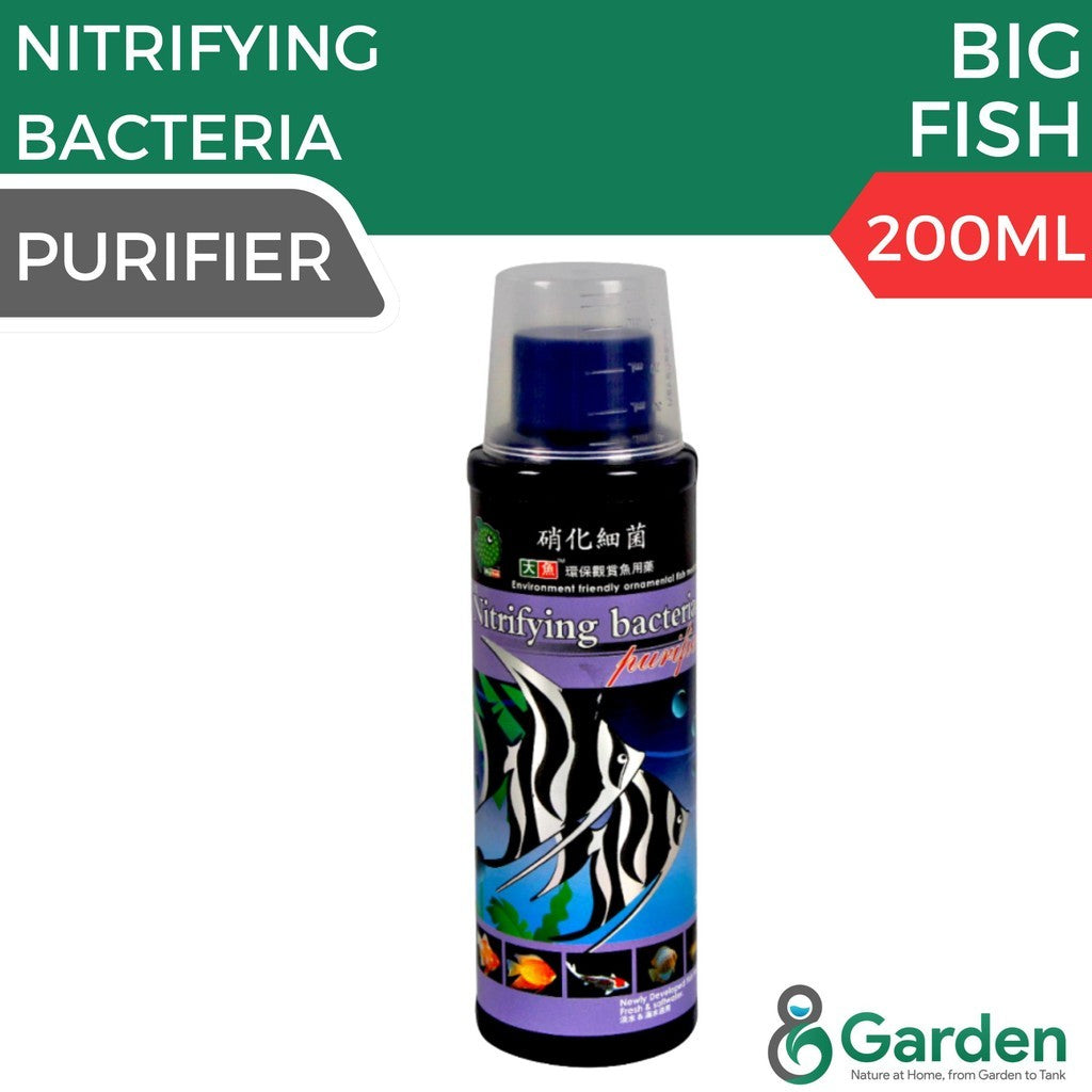Big Fish BF403 Nitrifying Bacterial Purifier – product and packaging
