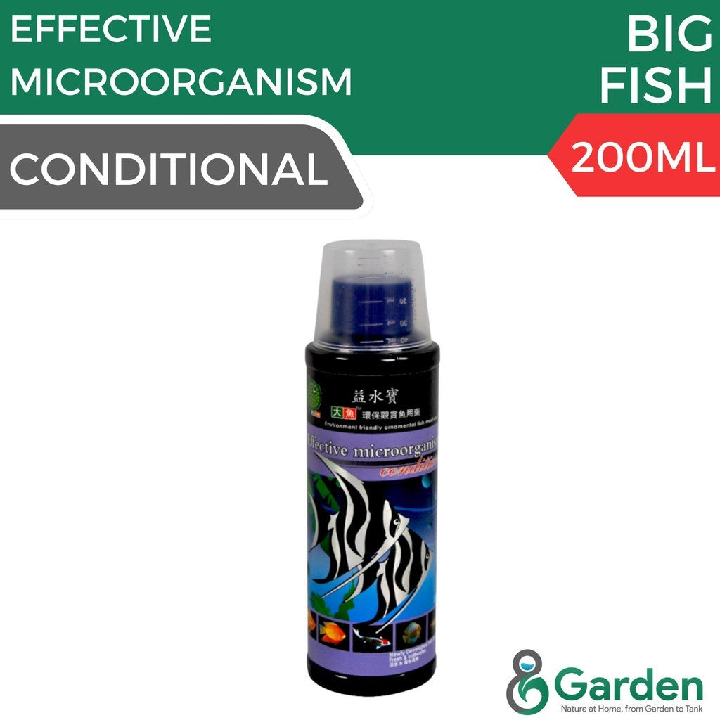 Big Fish BF404 EM Water Conditioner – product and packaging
