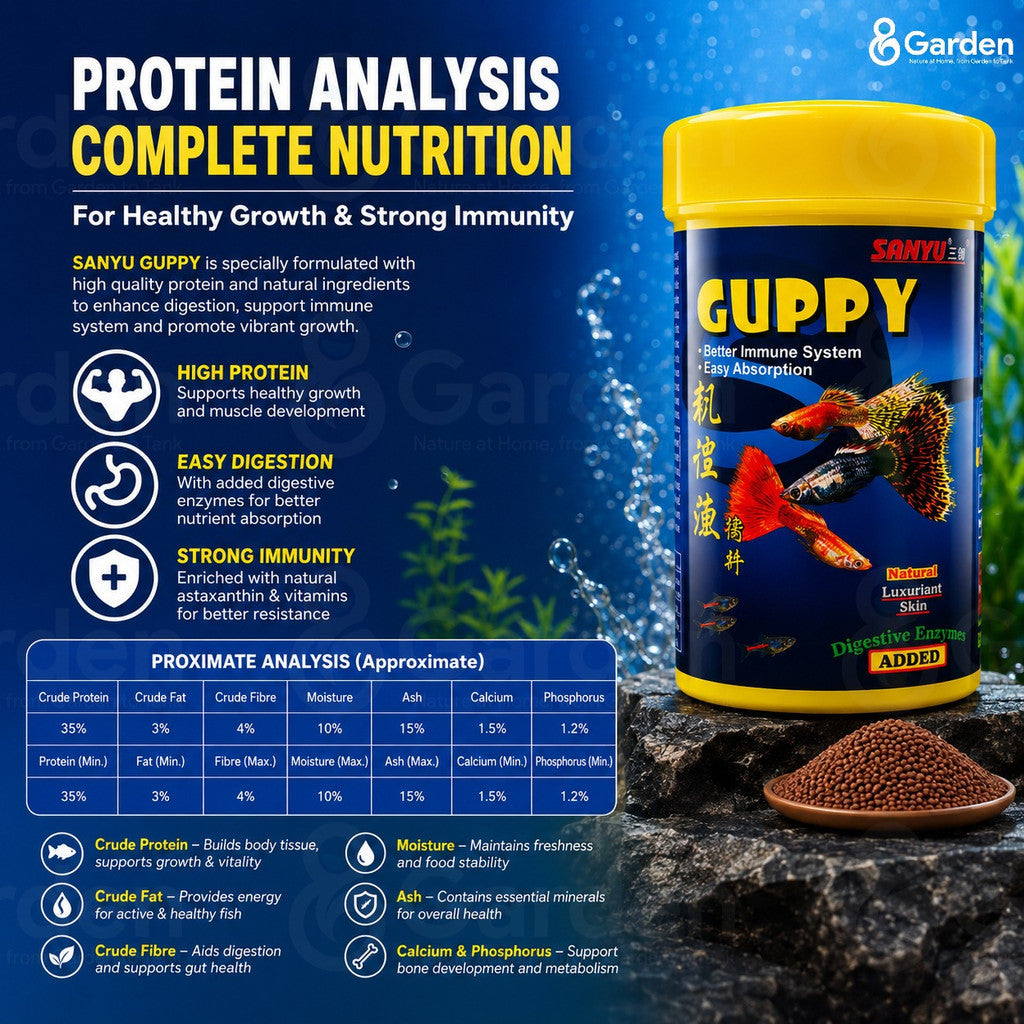 SANYU Guppy Fish Food – product information graphic 3