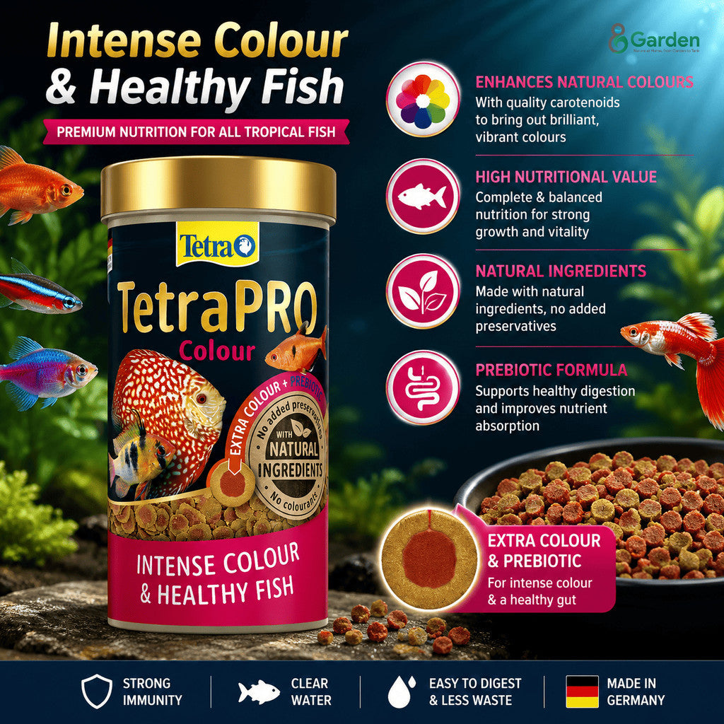 Tetra Fish Food – Pro Colour 55 g