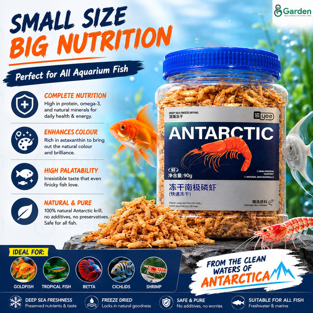 Freeze-Dried Antarctic Krill Fish Food – product information graphic 5