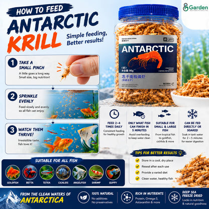 Freeze-Dried Antarctic Krill Fish Food – product information graphic 3