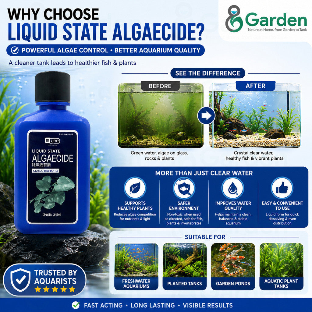 YEE Liquid State Algaecide – 245 mL Aquarium Algae Control – product details view 3