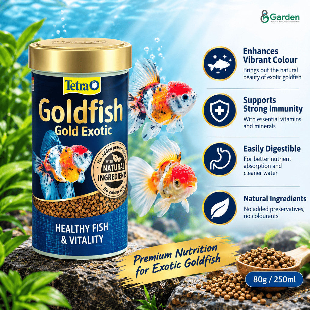 Tetra Fish Food – Gold Exotic 80 g