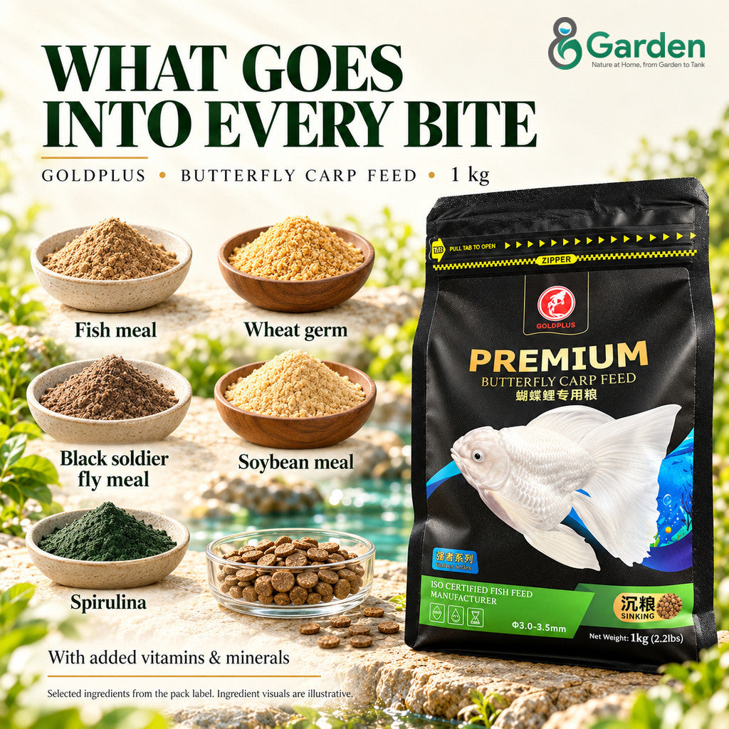 GOLDPLUS Butterfly Koi Fish Food 1kg | Premium Sinking Pellets 3-3.5mm 40% Protein Makanan Ikan Carp
