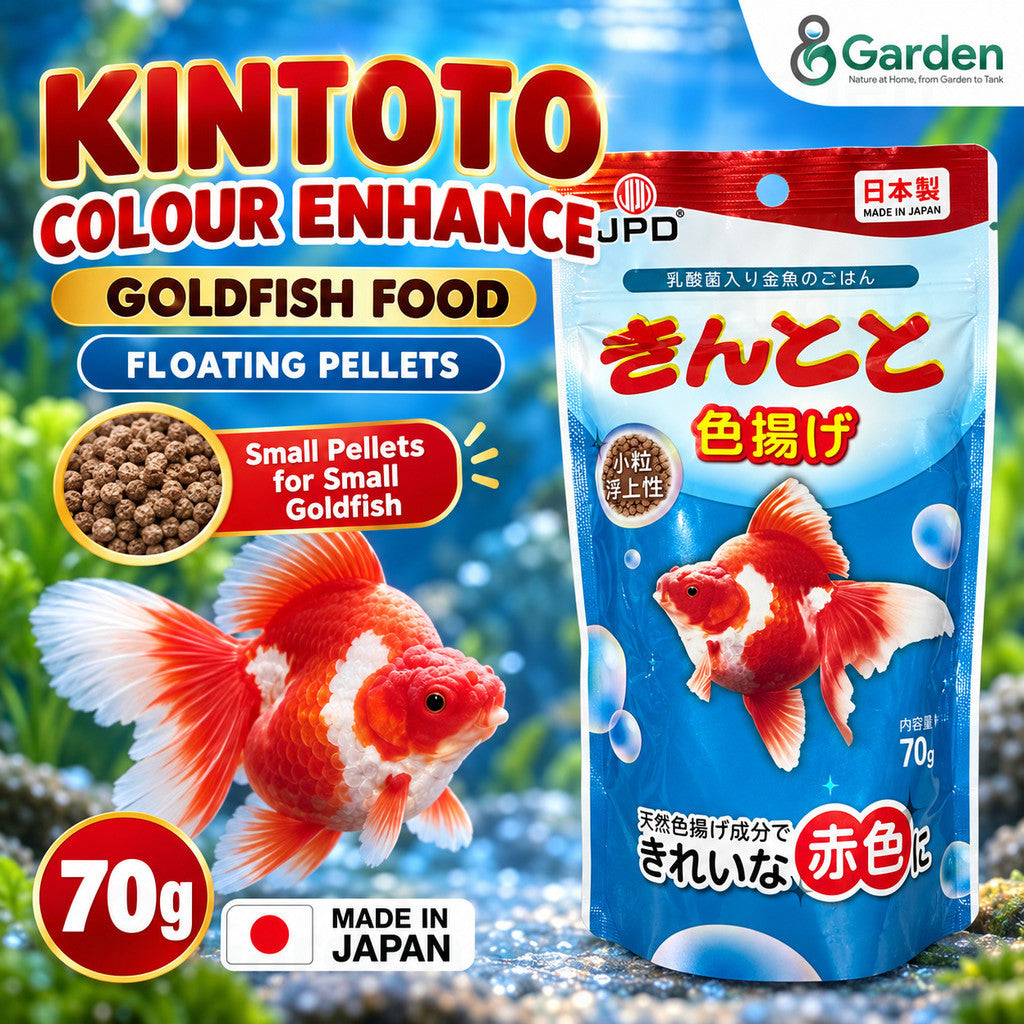 JPD Kintoto Colour Enhance – Kintoto product graphic
