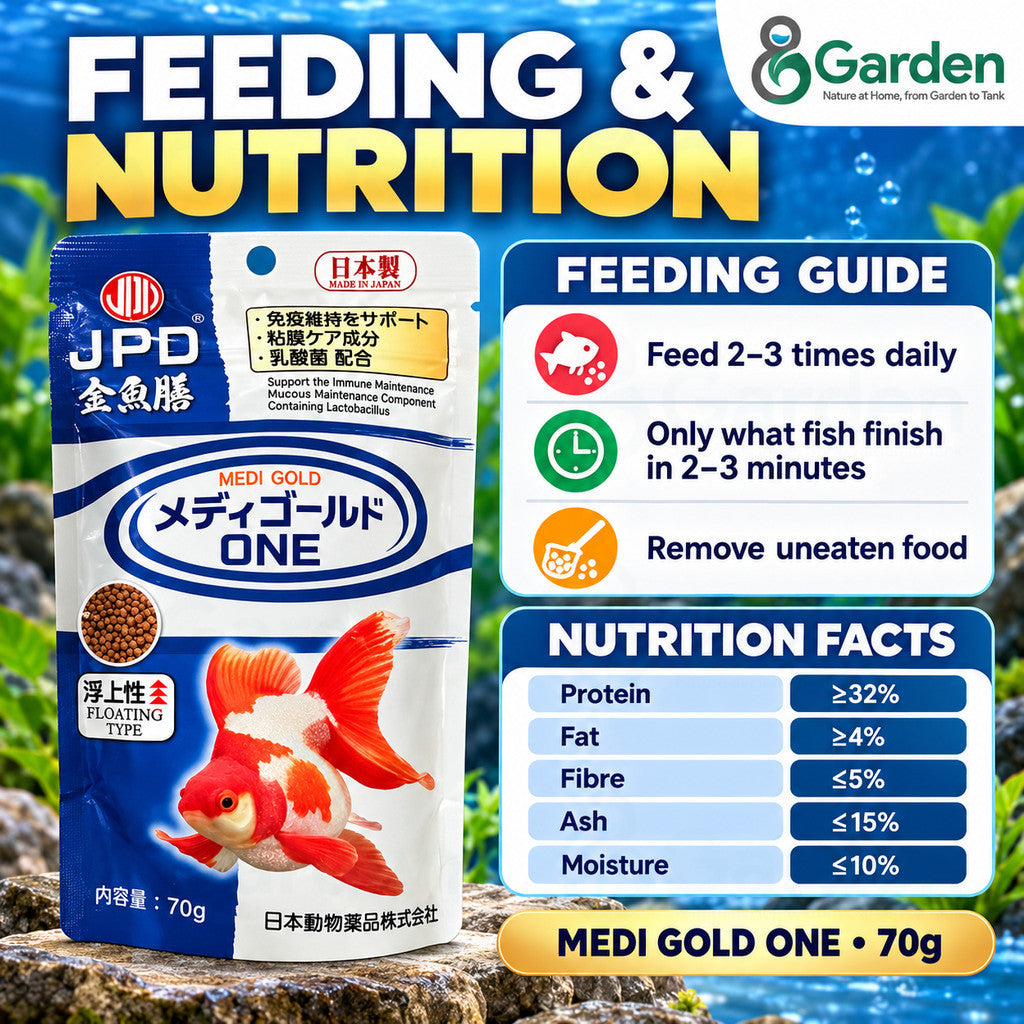 JPD Medi Gold ONE Goldfish Food – feeding and nutrition guide
