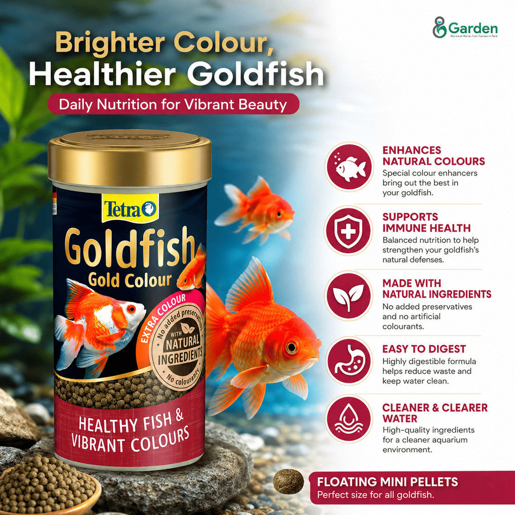 Tetra Fish Food – Gold Colour 75 g
