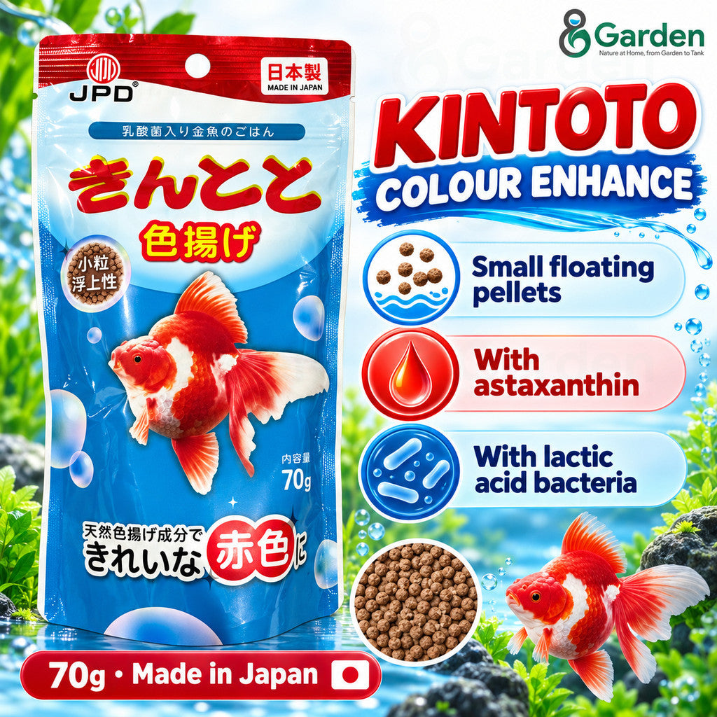 JPD Kintoto Colour Enhance – product features