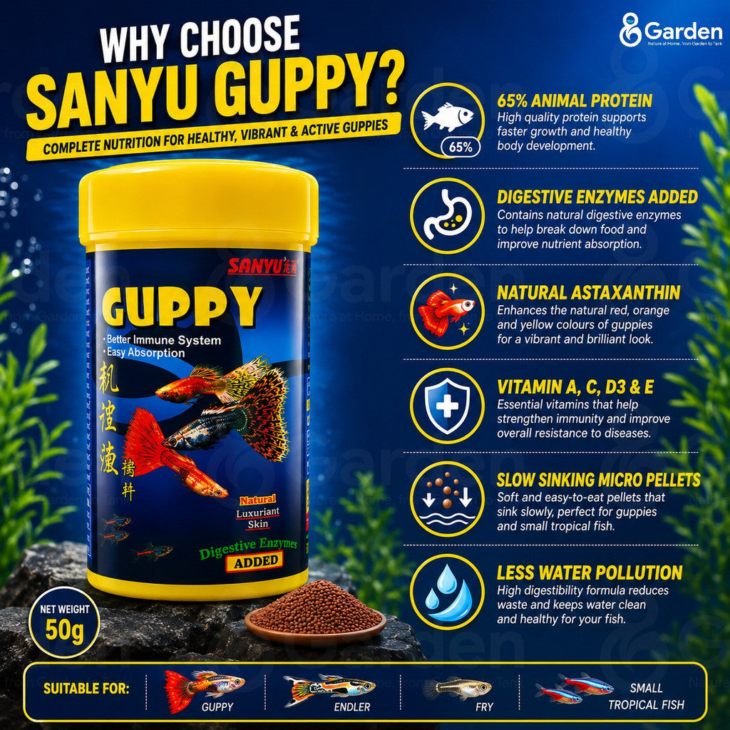 SANYU Guppy Fish Food – product information graphic 2