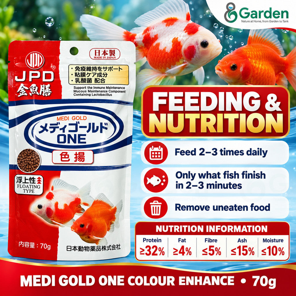 JPD Medi Gold ONE Colour Enhance – feeding and nutrition guide