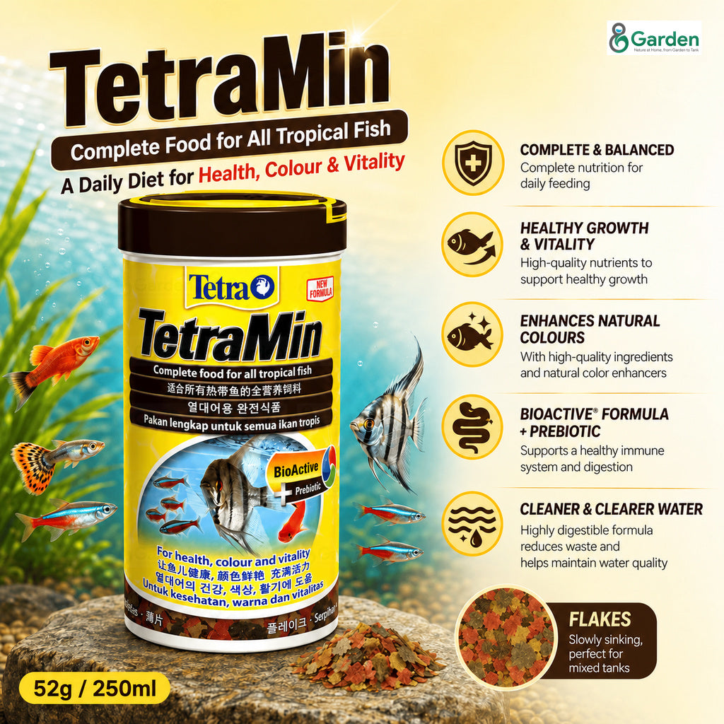 Tetra Fish Food – Guppy, TetraMin, TetraBits, TetraPro & Goldfish